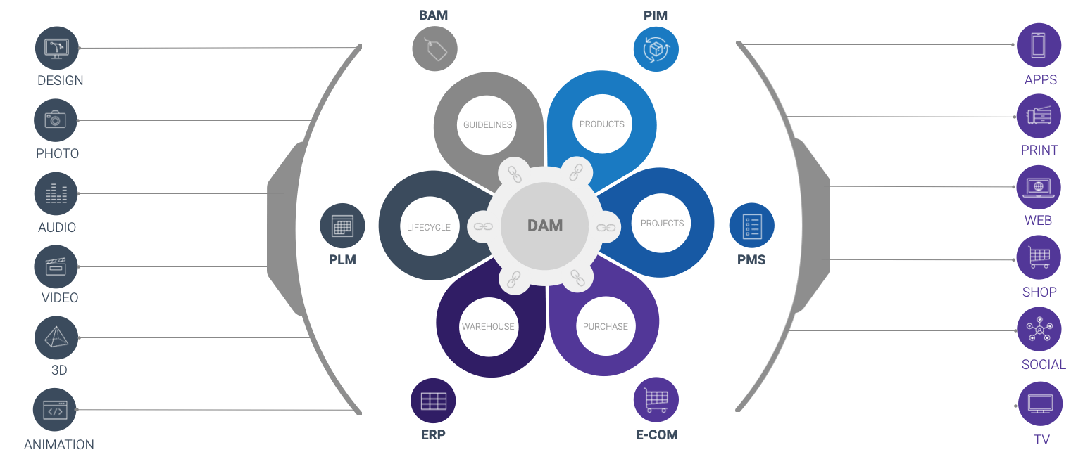 DAM Content Hub