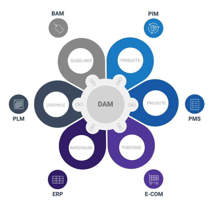 10 DAM benefits organization