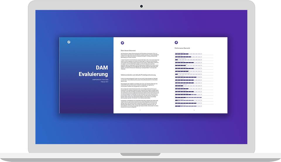 DAM Stress Test Evaluierung Performance