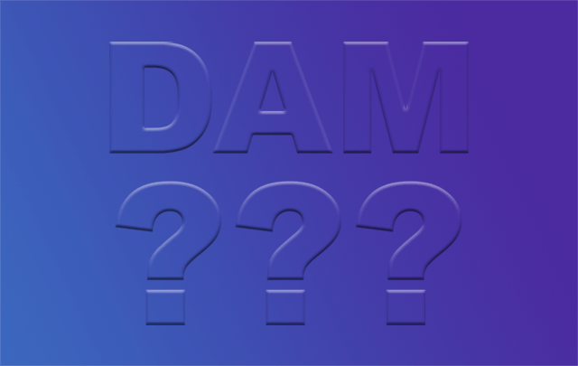 What is DAM?