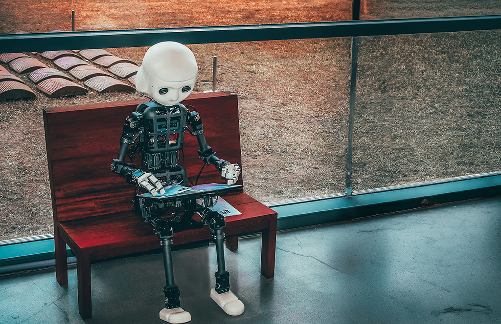 agentic e-commerce with DAM